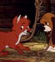 A Study in Disney: 'The Fox and the Hound' (1981)