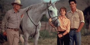 Sylvester (1985)